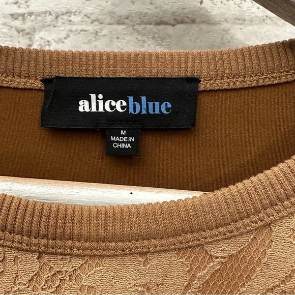 Alice Blue Pear Beaded Sweater women’s size medium tan‎ lace beautiful - Picture 6 of 7